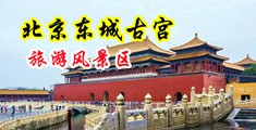 阴茎抽插白虎视频中国北京-东城古宫旅游风景区